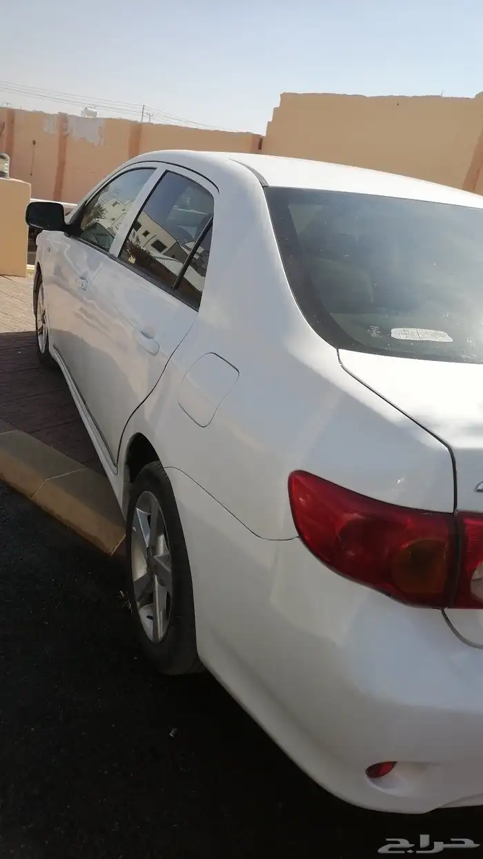 كورلا للبيع 3