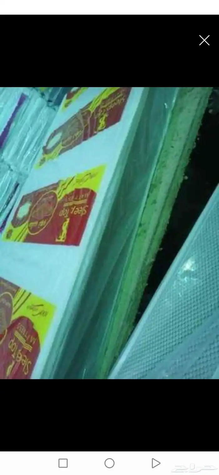 مرراتب طبيه واسرره 9