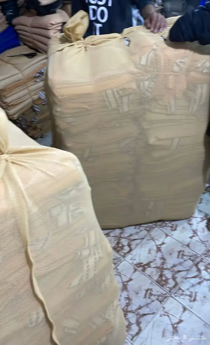 جلال جمل شتوي 6