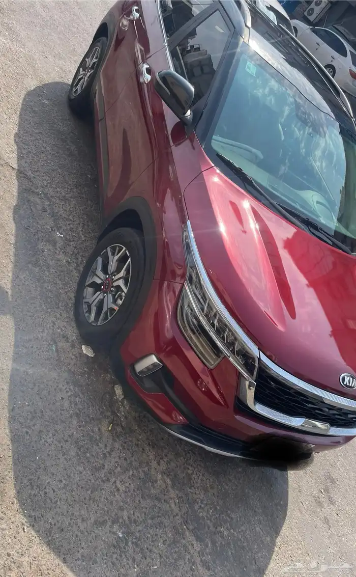 سيلتوس كيا سيلتوس 7