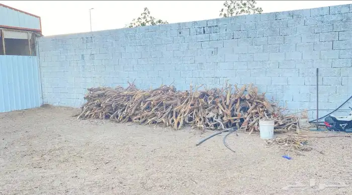 حطب مستورد من مكان بعيد مره 0