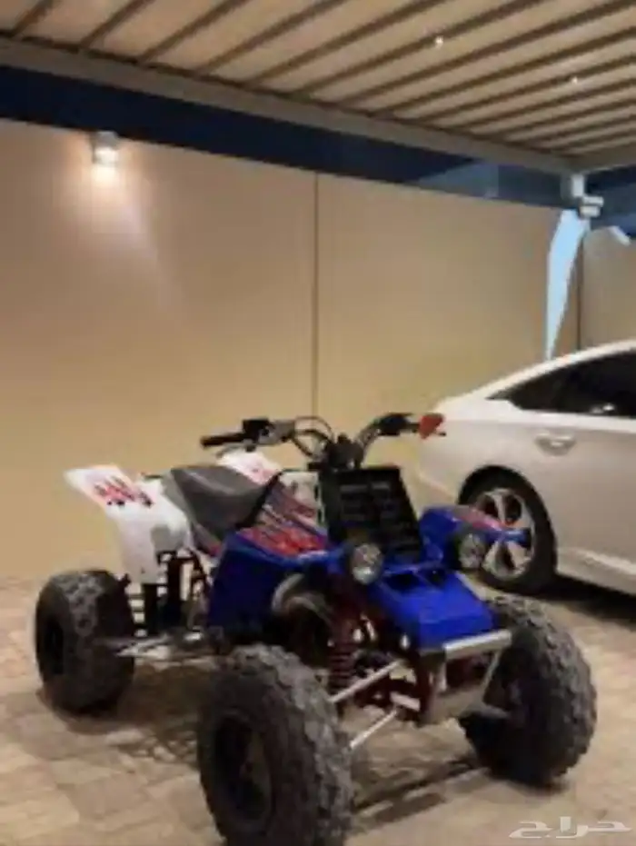 مطلوب دباب يامها بانشي 0