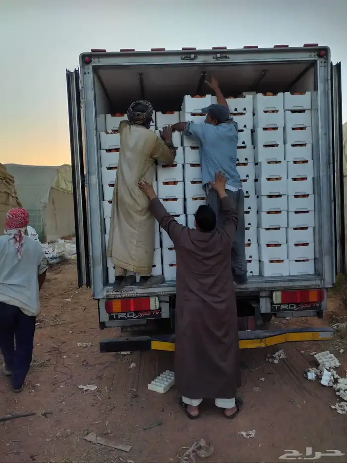 مشروع استثمارى متميز للمشاركة 6