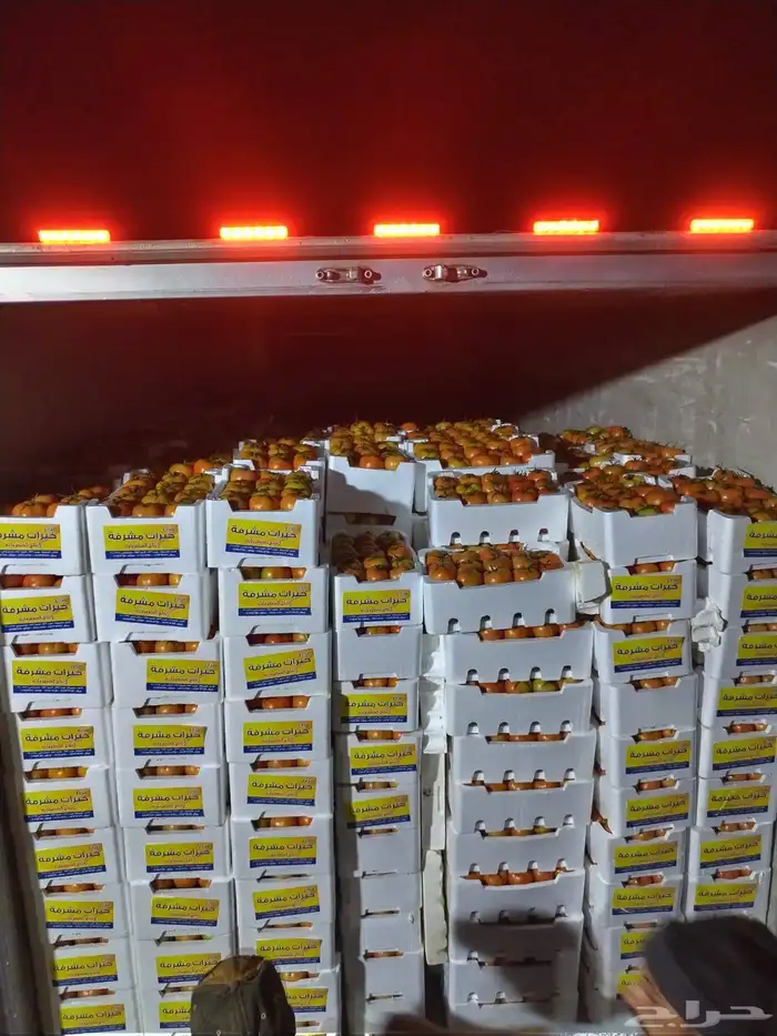 مشروع استثمارى متميز للمشاركة 5