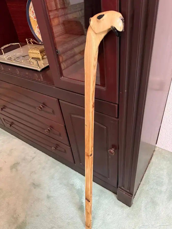 عصا للبيع 4