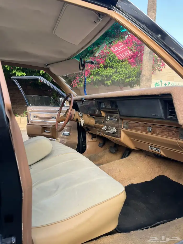 للبيع كابرس 1979 22