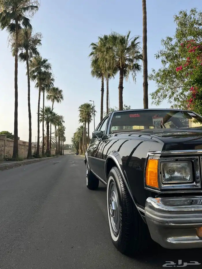 للبيع كابرس 1979 11