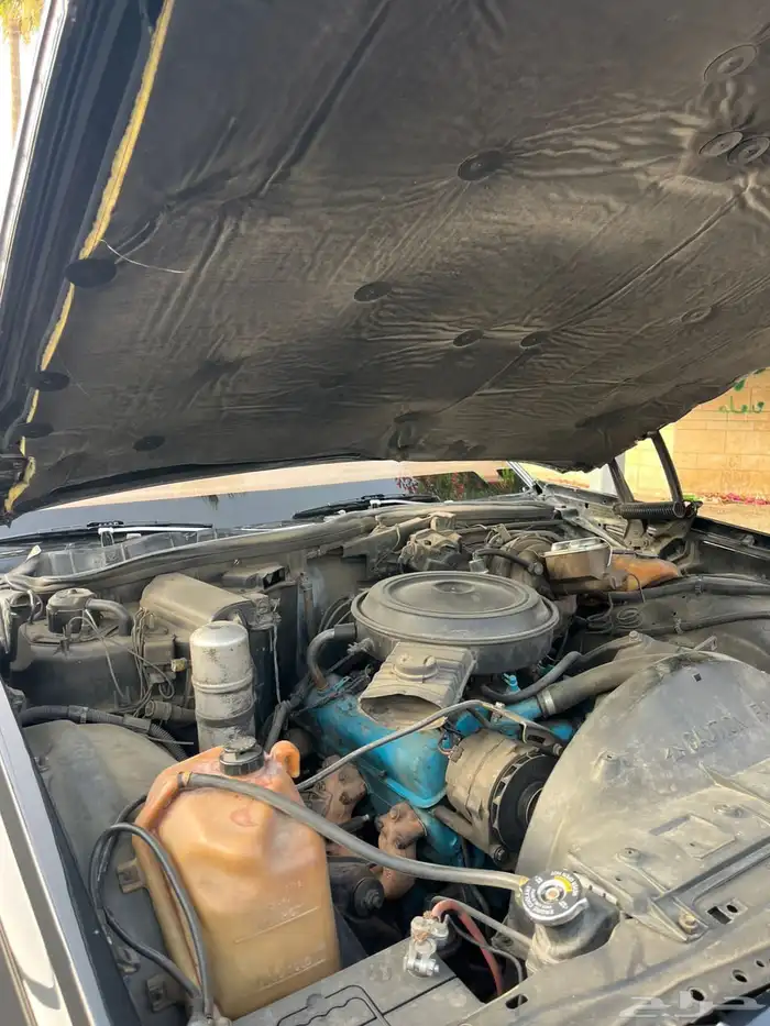 للبيع كابرس 1979 36