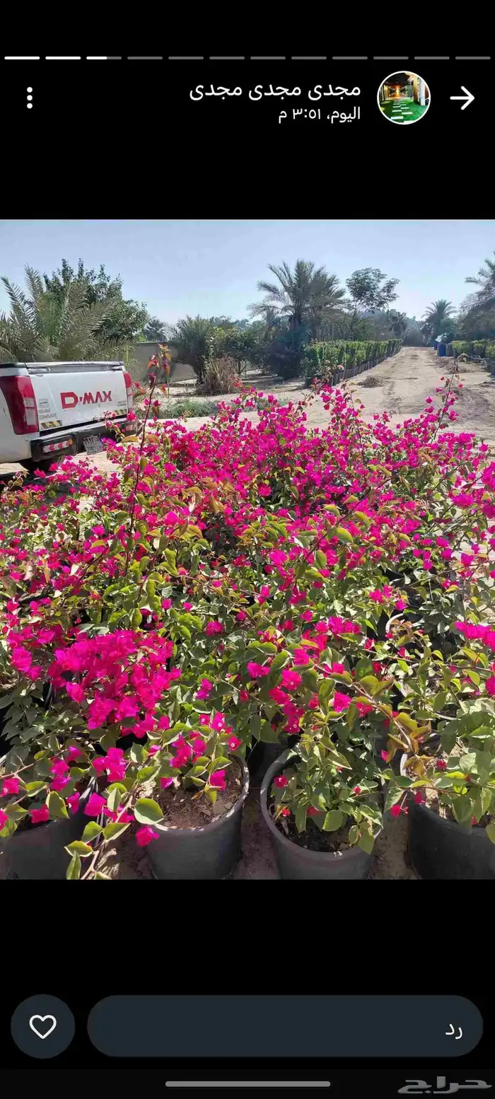 مشتل زراع طبيعي التيل الطبيعي وتركيب وشبكات الري 2