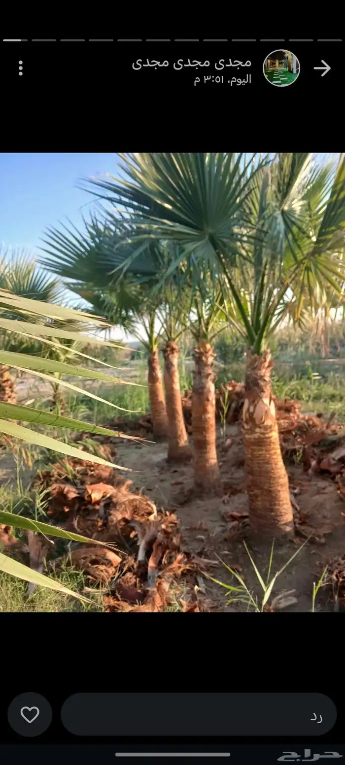 مشتل زراع طبيعي التيل الطبيعي وتركيب وشبكات الري 4