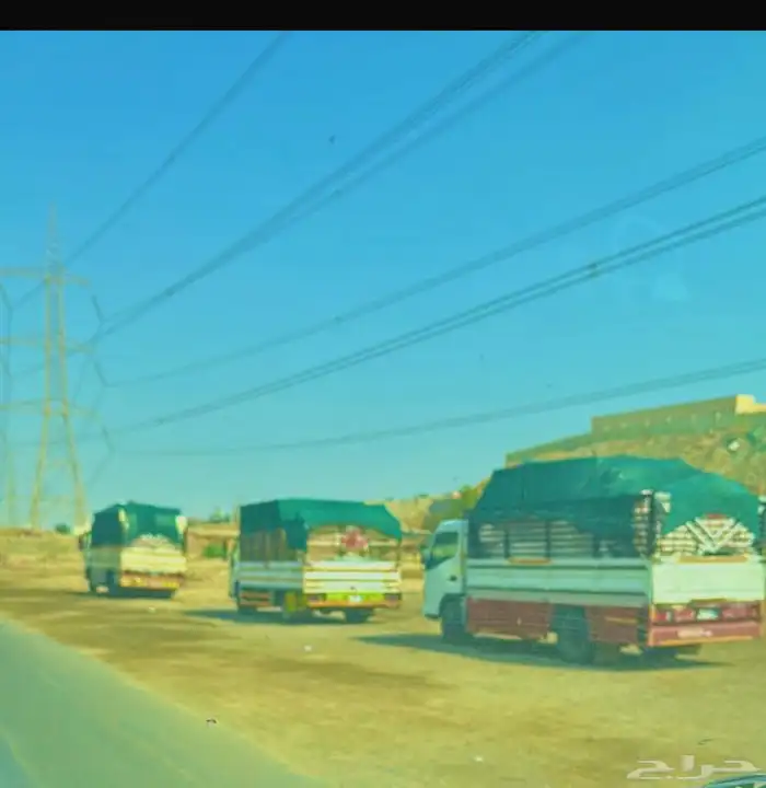 دينا أيسوزو تبريد و تجميد مشوار يومياو الشهري وأسبوعي جدة 3