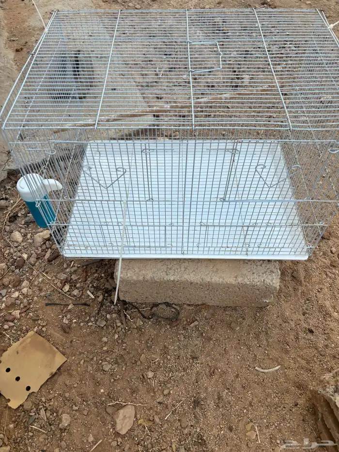 شبك طيور للبيع 0