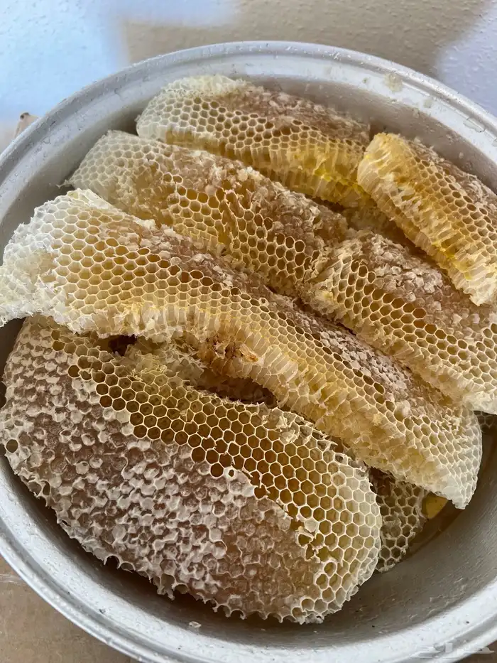 عسل سدر شمع وصافي 3