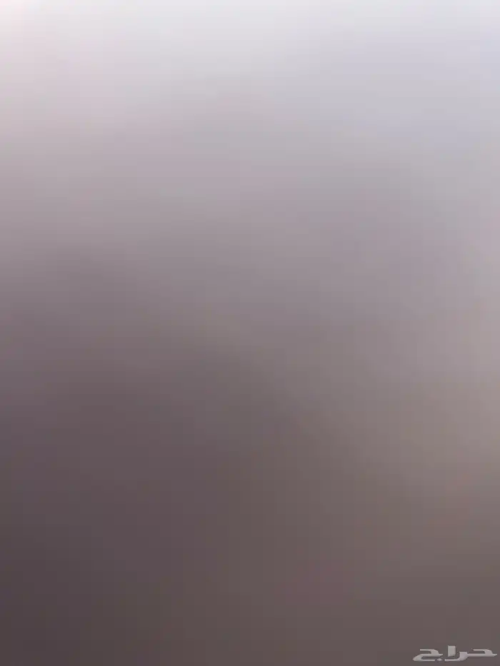 مطلوب كادنزا 17 18 19 0