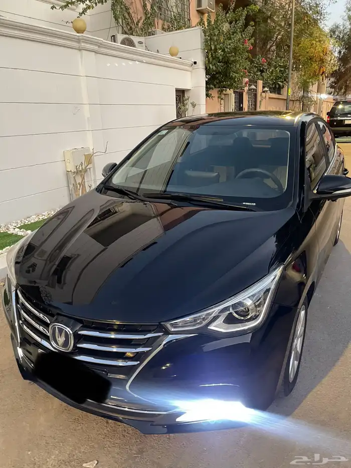 شانجان السفن 2024 فل كامل 0