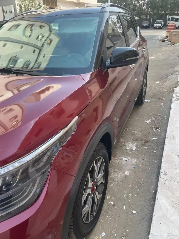 سيلتوس كيا سيلتوس 1