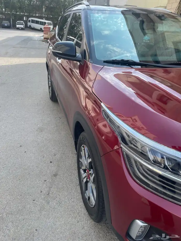 سيلتوس كيا سيلتوس 2