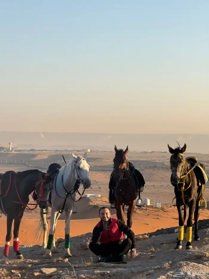 إيواء خيل 900  شامل كل شيء 1
