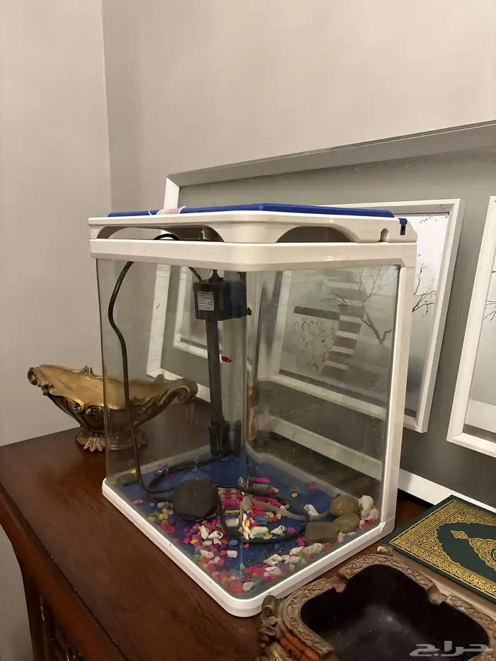 حوض سمك 1
