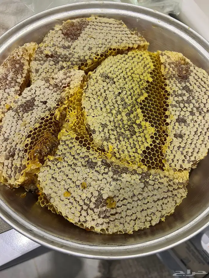 عسل سدر شمع وصافي 0