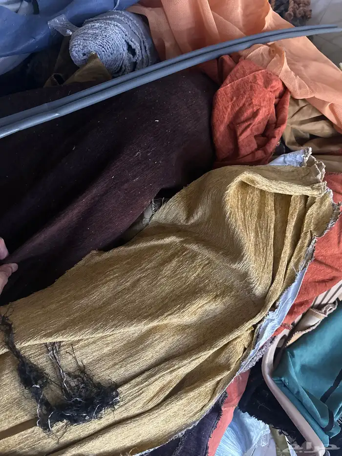 جلال جمل شتوي 3