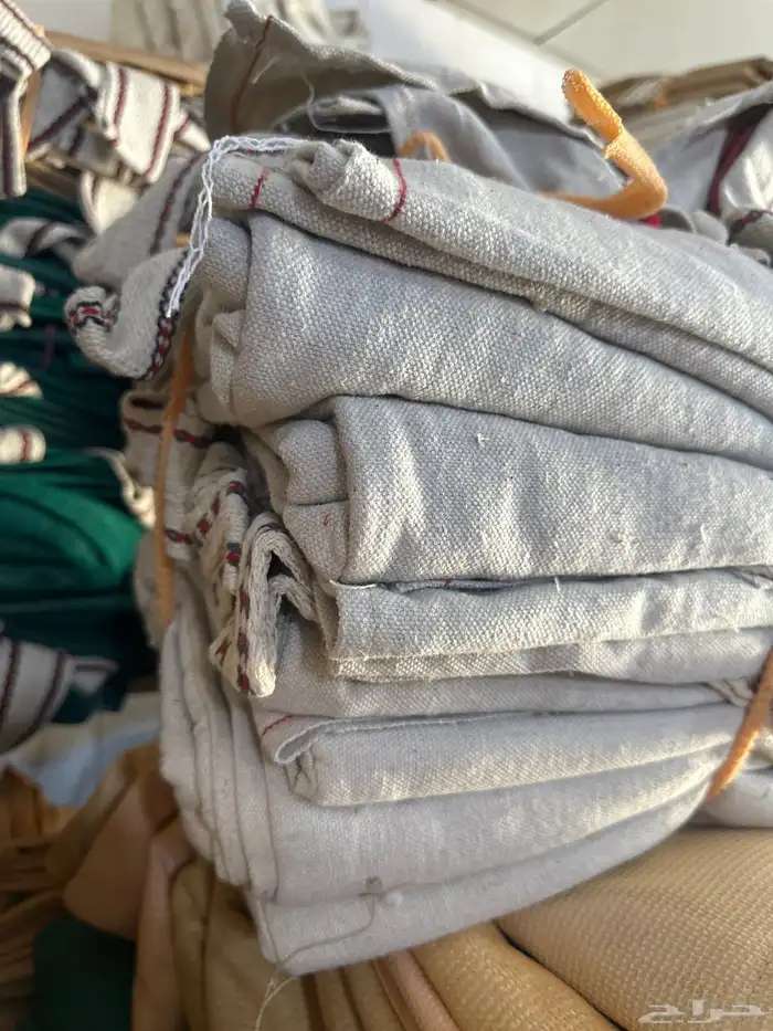 جلال جمل شتوي 2