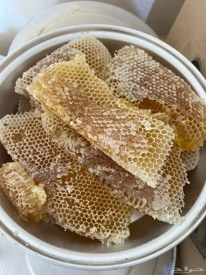 عسل سدر شمع وصافي 2