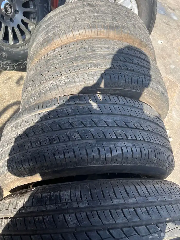 جنوط اكسبديشن 2025 3