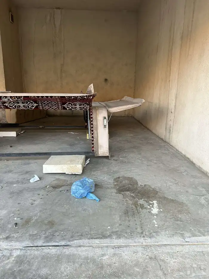 شراع رحلات بالمبات يركب ع حوض الجمس كان مركبه ع جمس 13 4