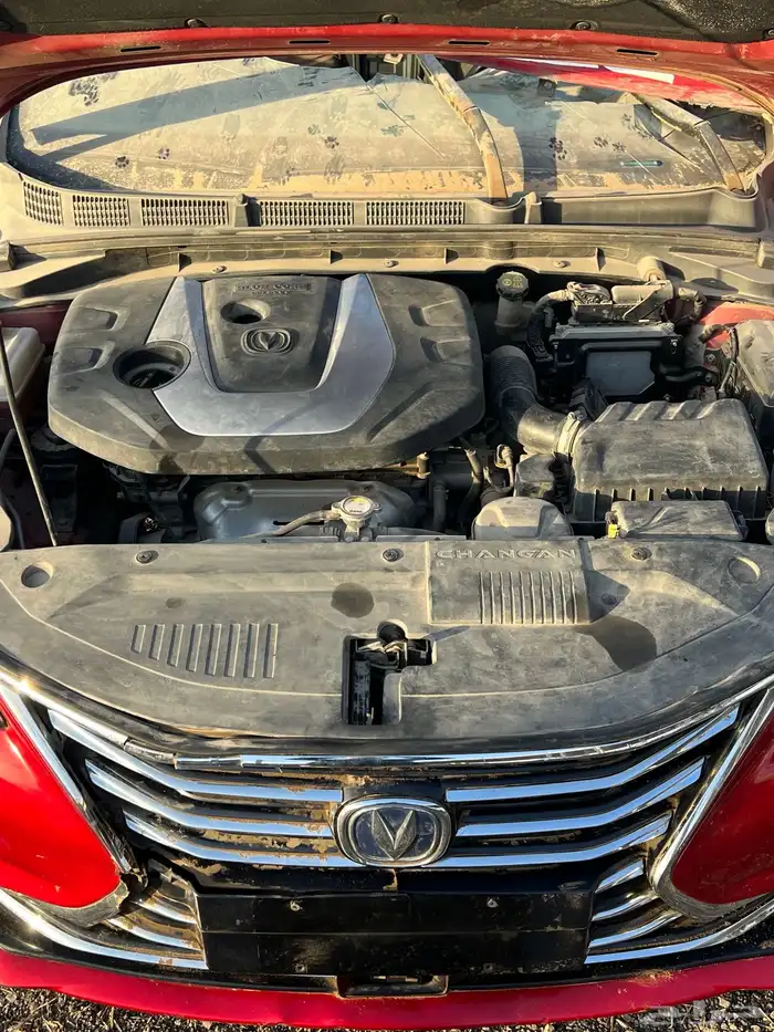 شنجان ايدو موديل 2021 1