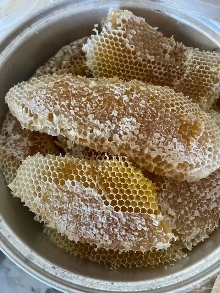 عسل سدر شمع وصافي 1