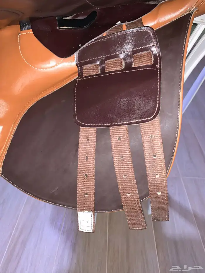 سرج يور رايدر 2