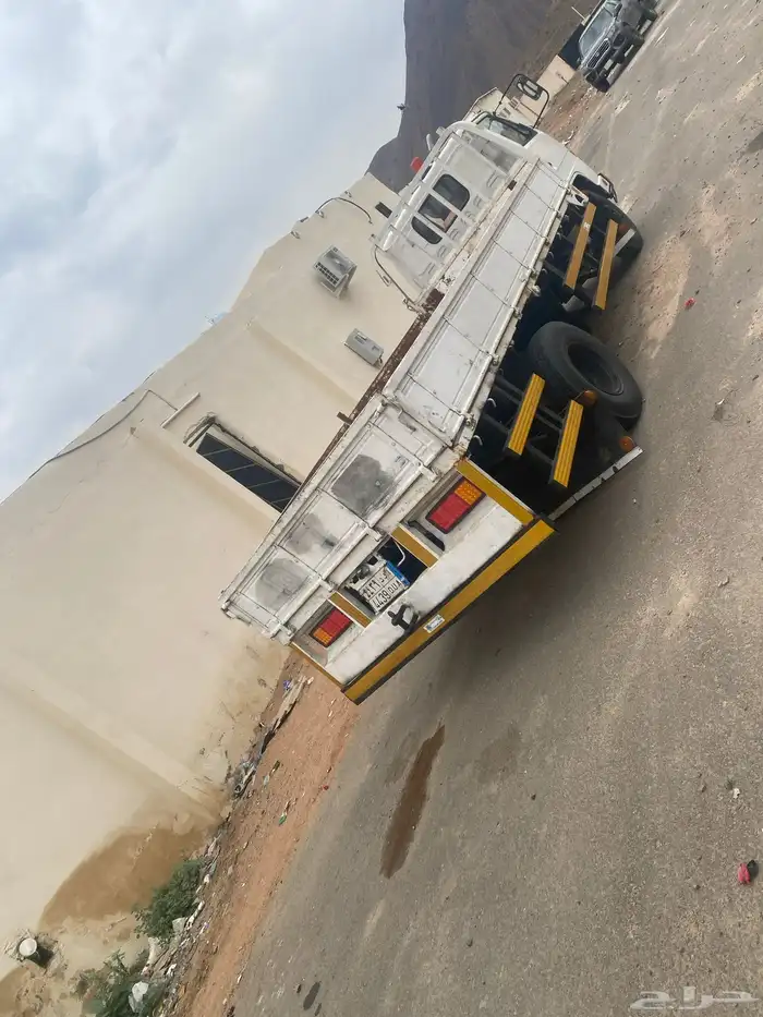 دينا اسوزو 1