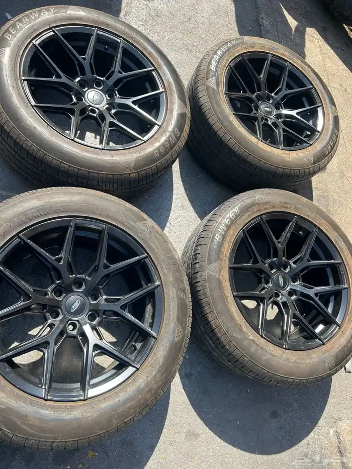 جنوط اكسبديشن 2025 2