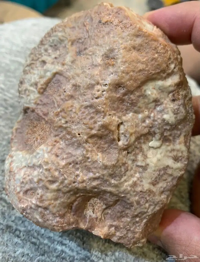 حجر نيزك للبيع (نيازك ) 0