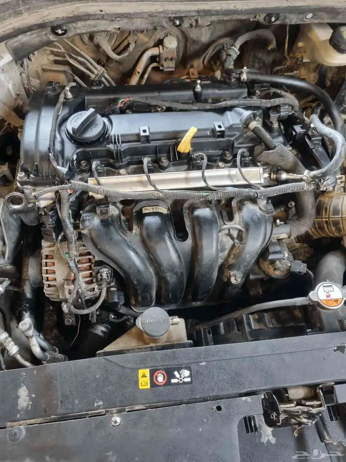 مكينة سوناتا النترا اوبتيما كرنفال 0