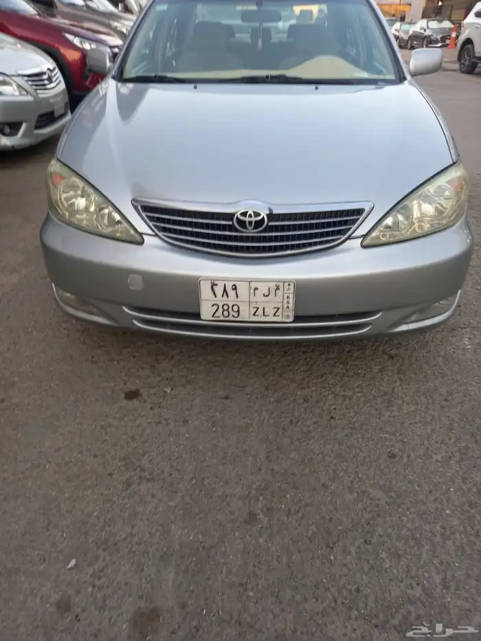 اللوحة للبيع عاى السوم 1