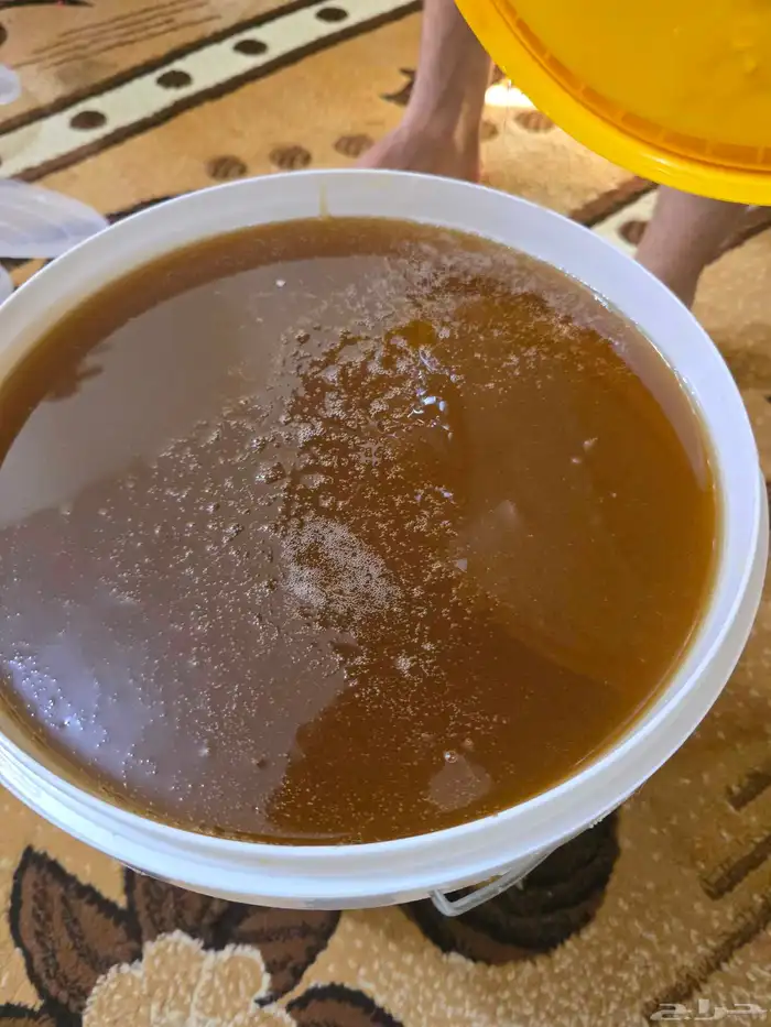 عسل سدر مضمون وعلى الشرط 3