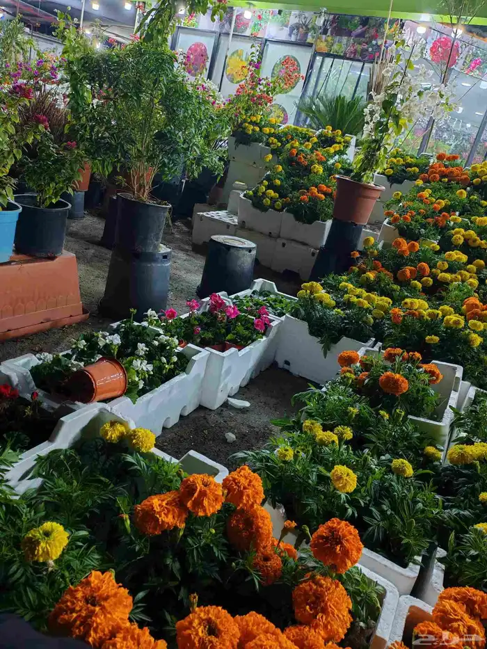 مشتل زراع طبيعي التيل الطبيعي وتركيب وشبكات الري 5