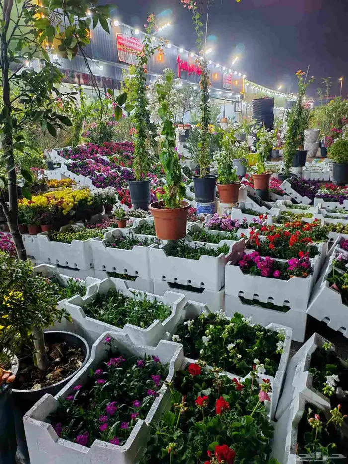 مشتل زراع طبيعي التيل الطبيعي وتركيب وشبكات الري 9