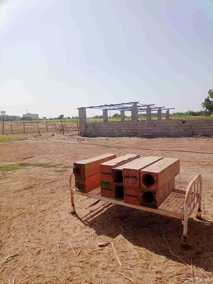 الحداد ابورسلي 0