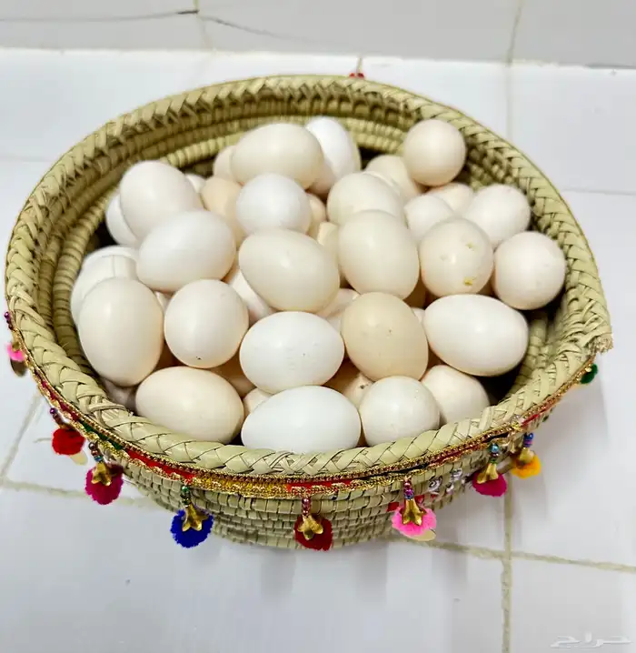 بيض دجاج بلدي طازج 1