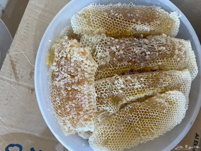 عسل سدر شمع وصافي 4