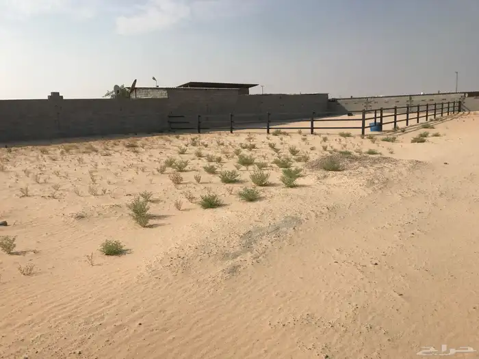 اسطبل في الاحساء للإيجار 1