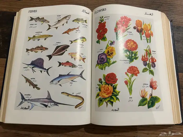 كتب روايات كتاب قاموس المورد 11