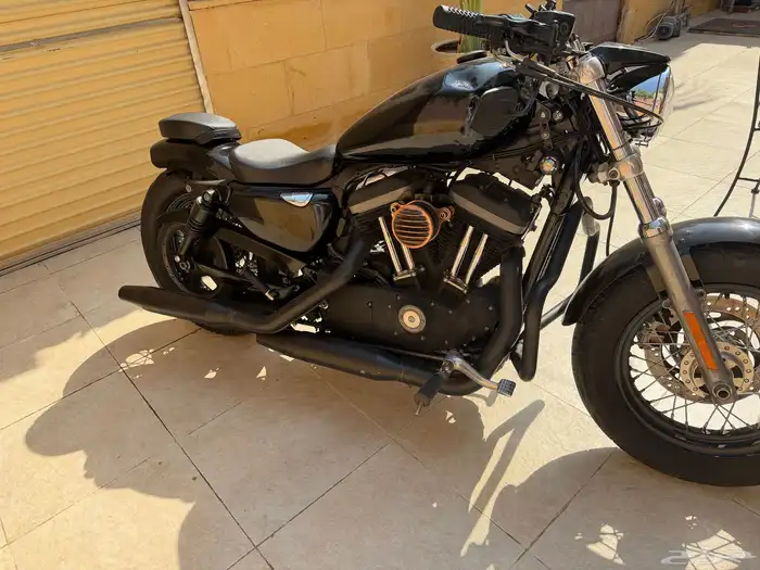 هارلي سبوستر 1200 LX 2013 3