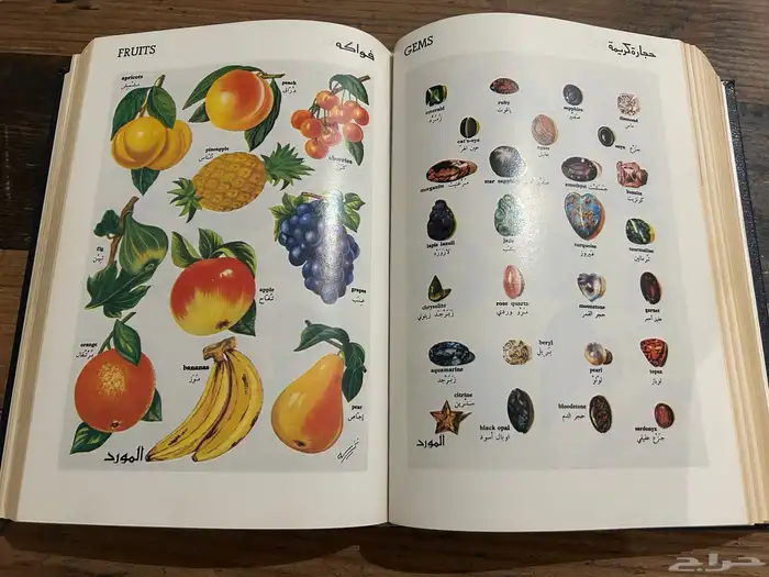 كتب روايات كتاب قاموس المورد 10