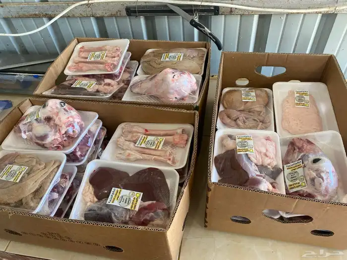 ذبايح مع خدمة الذبح والتوصيل 5