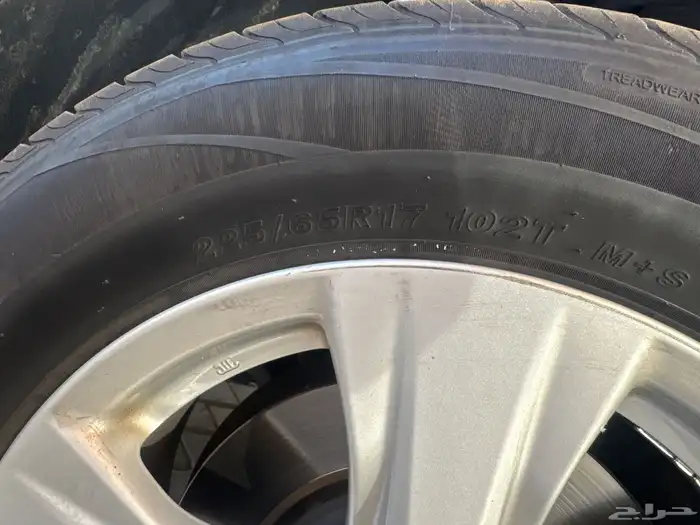 للبيع جنوط راف فور 2021 5