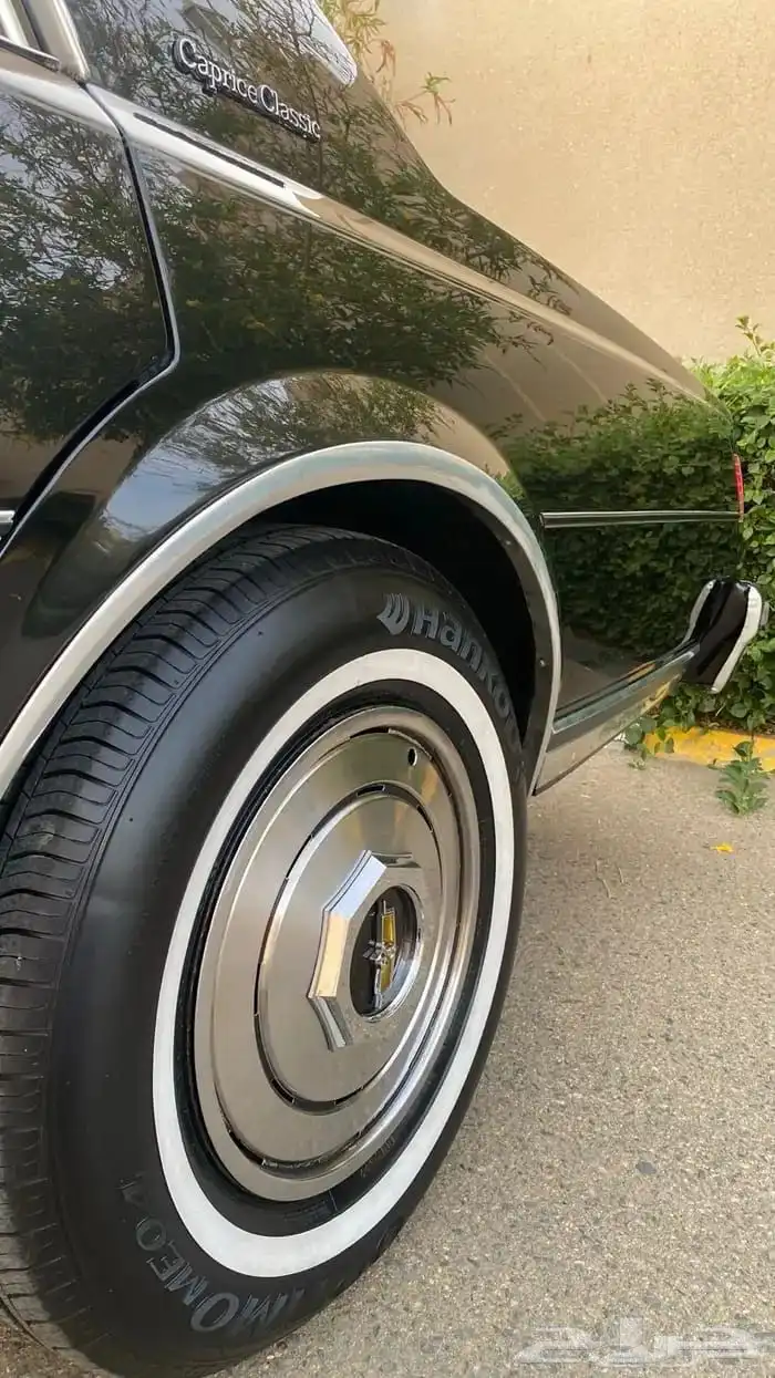 للبيع كابرس 1979 20